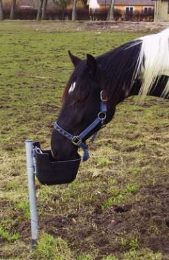 Frostfri drikkeautomat til køer og heste - 60 cm Frostfri drikkeautomat til køer og heste - 60 cm